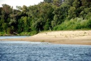 Река Сейм в июле 2013  Батурин - Путивль - Батурин